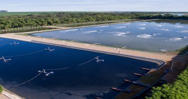 Concessão da Aegea Saneamento é destaque em evento do Trata Brasil Concessão da Aegea Saneamento é destaque em evento do Trata Brasil