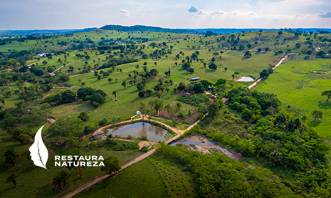 Aegea apoia formação gratuita da Restaura Natureza, iniciativa do WWF-Brasil, para professores do MS e MT